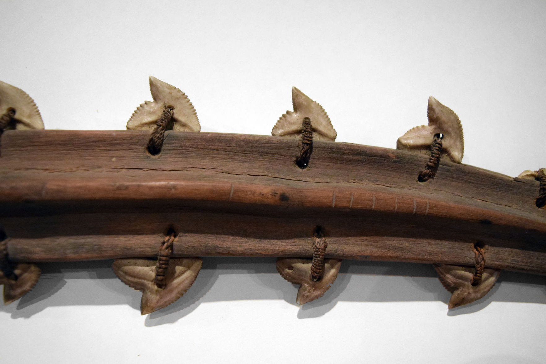 Shark tooth weapon